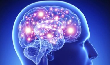 Online Terapi Nedir?